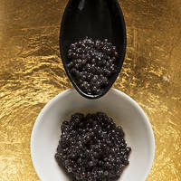 397px-Caviar_and_spoon_e97615e552