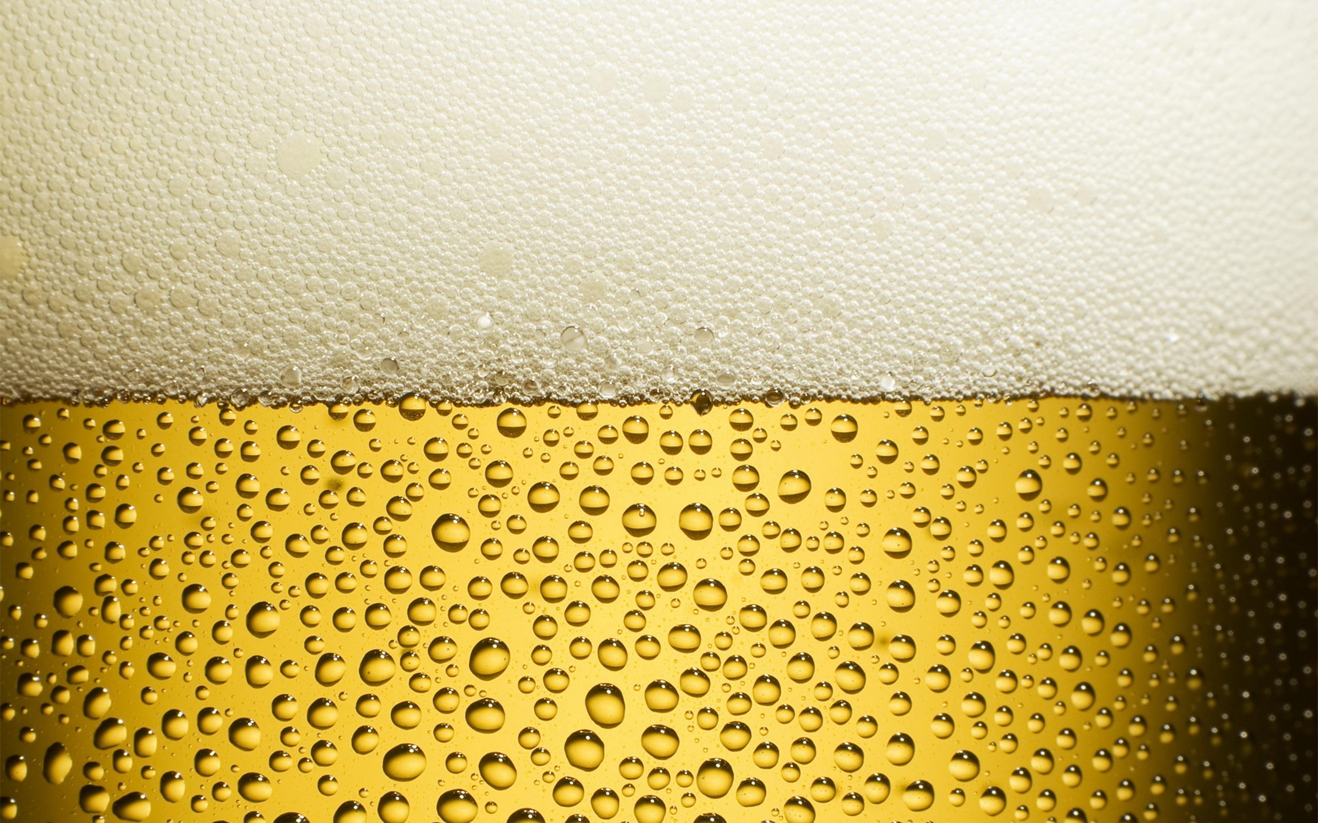 Food_Drinks_Glass_of_cold_beer_025568_
