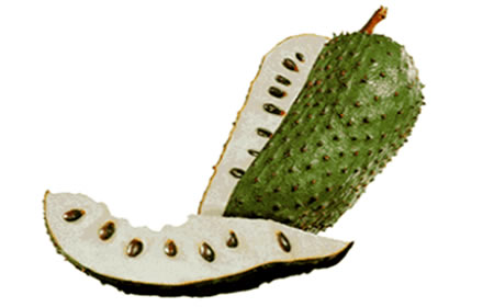 guanabana