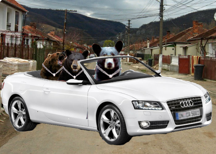 ursi_cocalari_terorizeaza_oameni