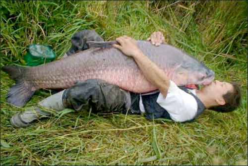 fishlove