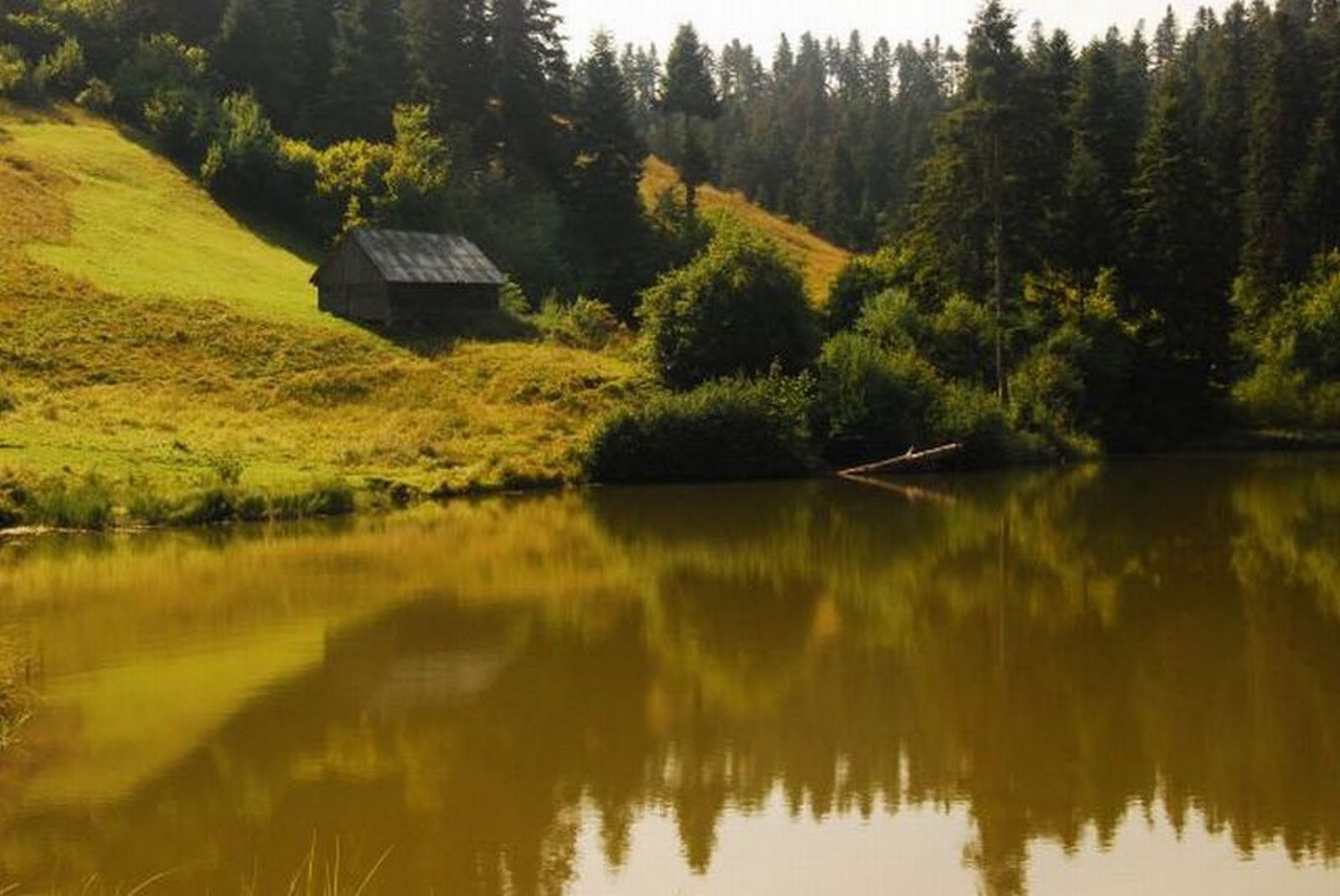 documentar-rosia-montana