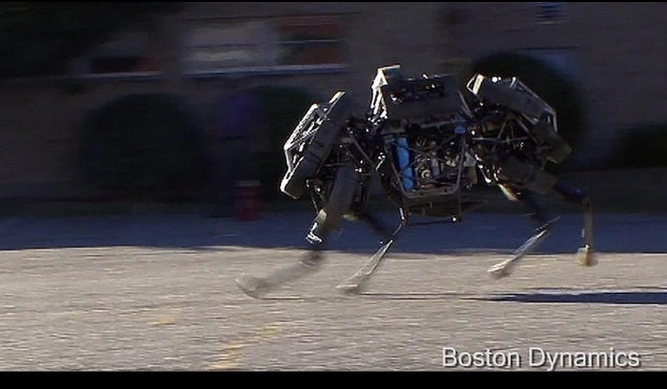 robot-wildcat