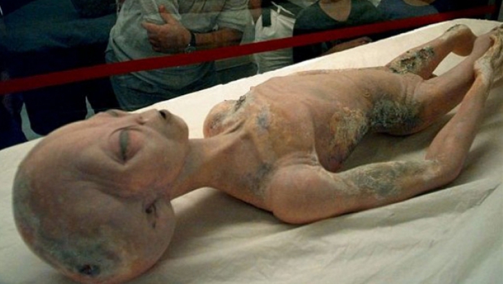 alien_univers_52578300_91697100