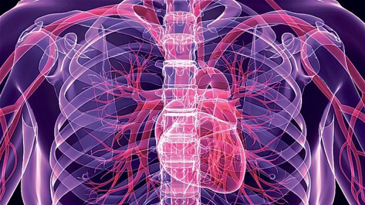 heart_doppel_2630407b_87356500