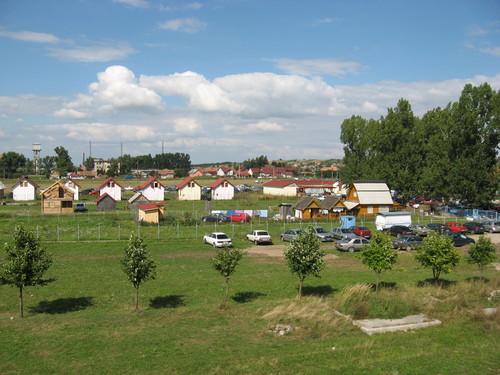 21547849