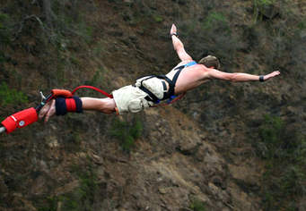 bungee