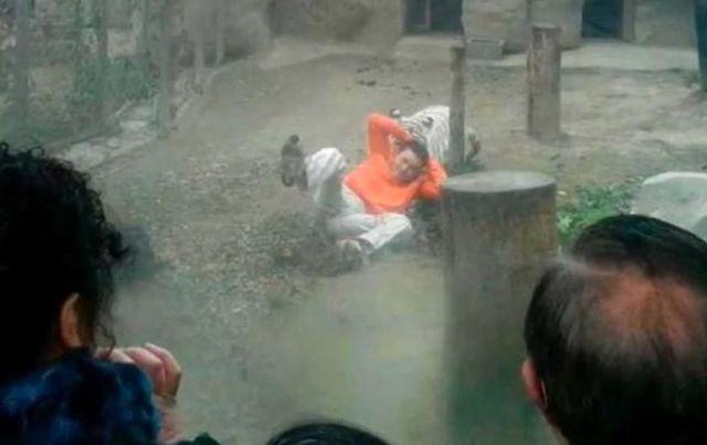 scena-oribila-intr-un-parc-zoo-din-new-delhi-un-tigru-alb-insfaca-un-baiat-care-cade-in-cusca-animalului-video-18493606