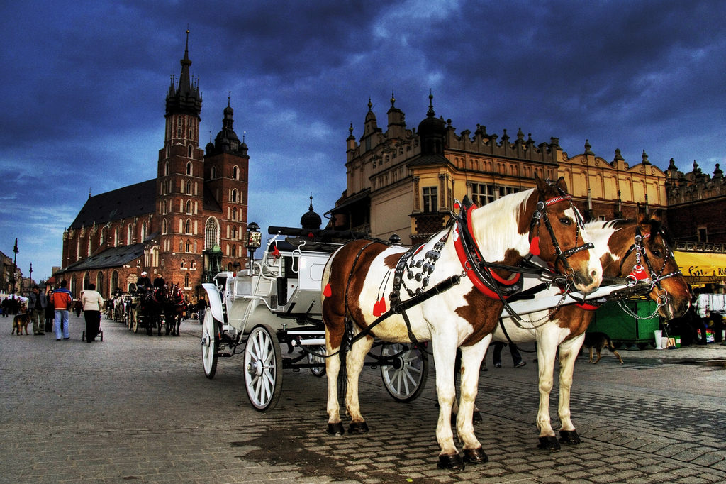 170109120411cracovia-marathon-16