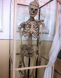 Intr-o-scoala-din-Romania--elevii-invata-anatomie-pe-scheletul-fostului-director