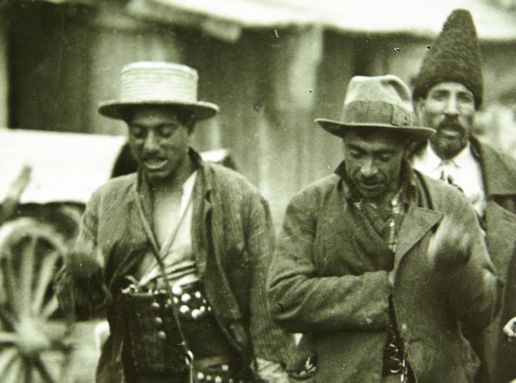 tigani ursari