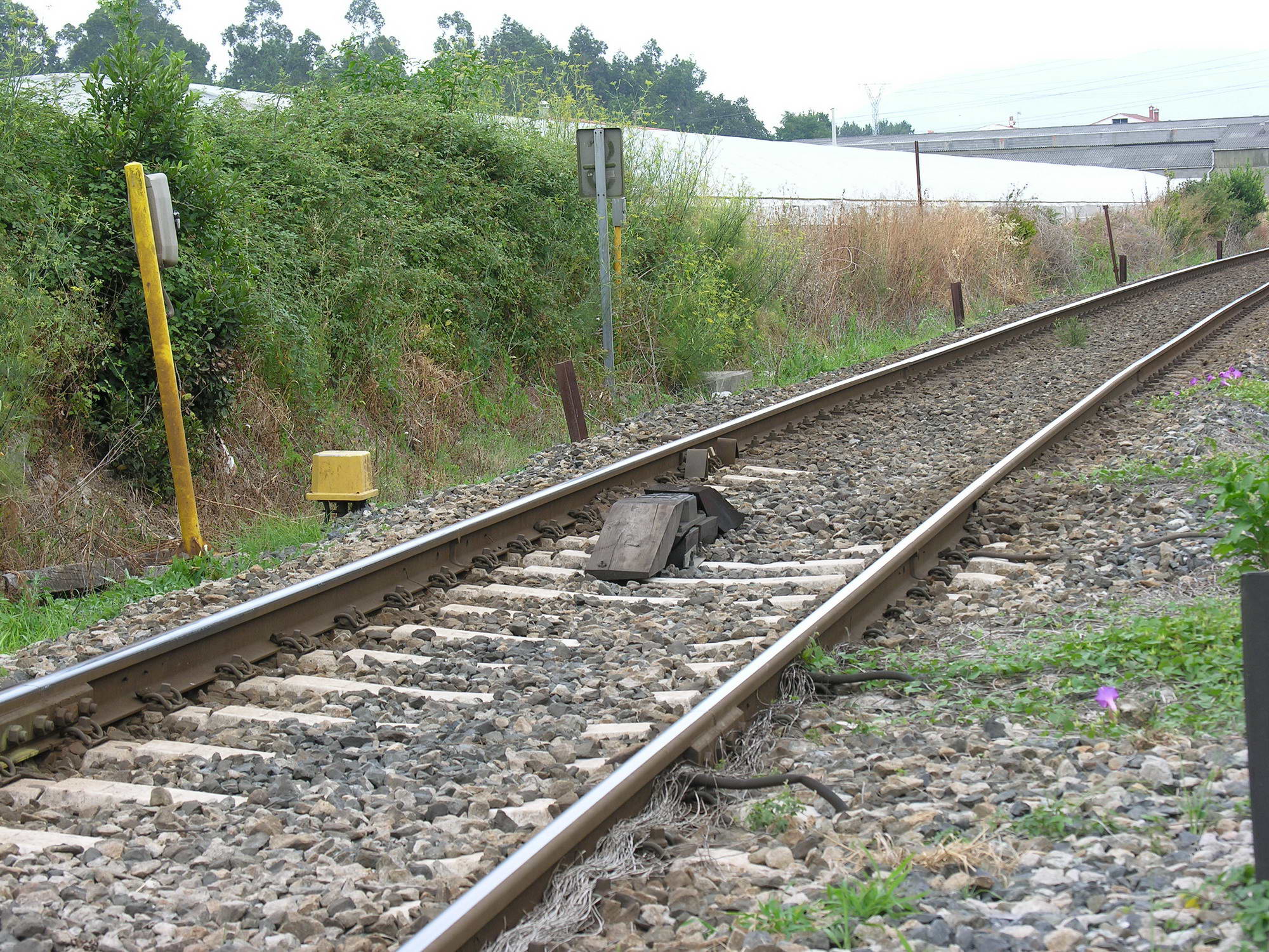 sina-tren