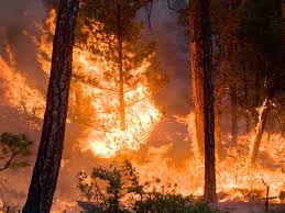 MĂSURI DE PREVENIRE A INCENDIILOR PE TIMP DE CANICULĂ