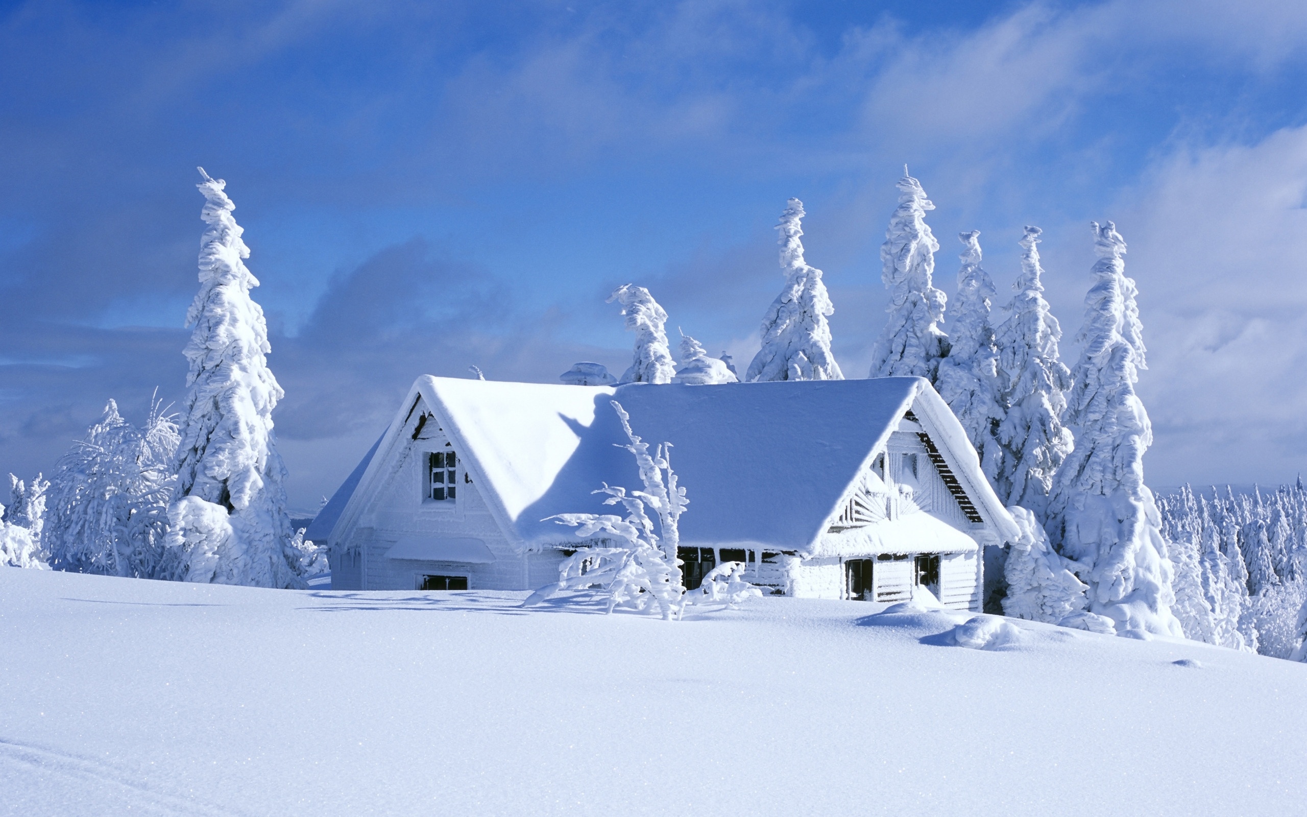67881916-snow-wallpapers