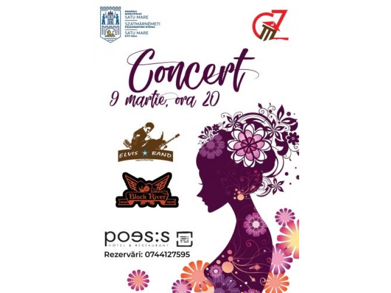 concert
