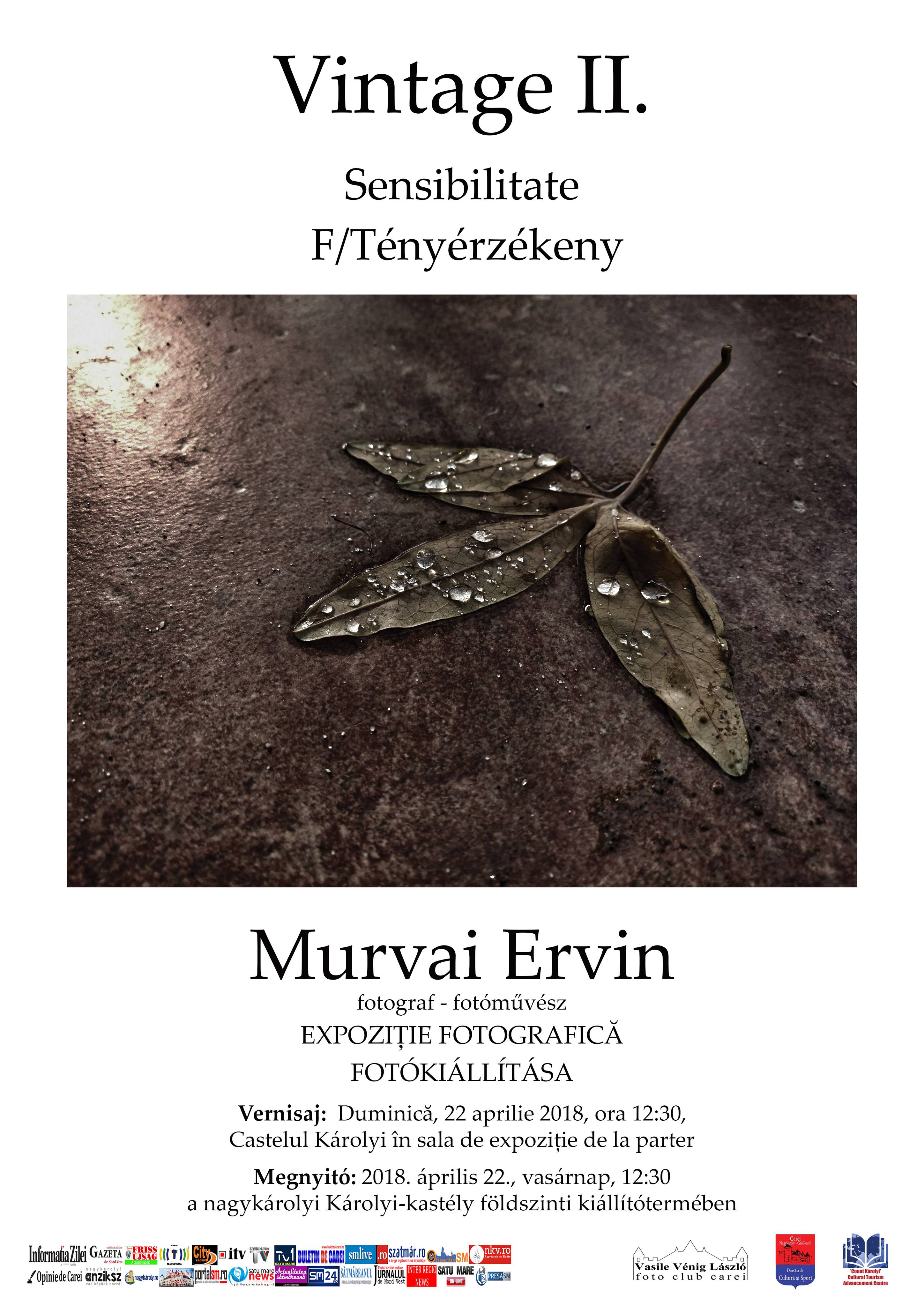 Afis Murvai Expo
