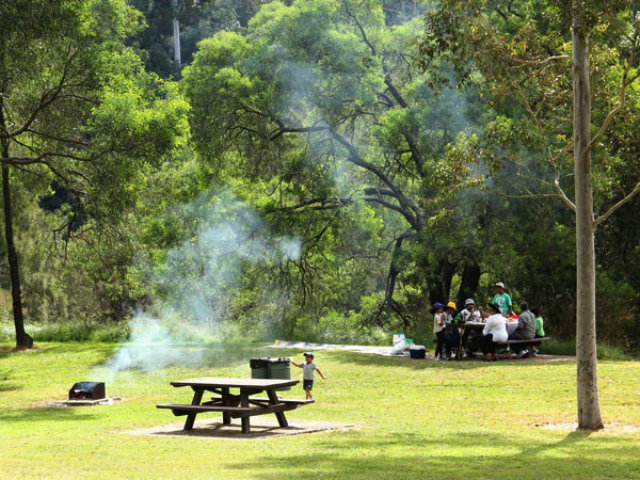 picnic-area