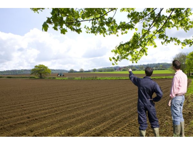 teren agricol
