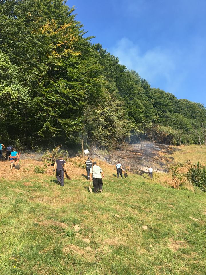 padure incendiu