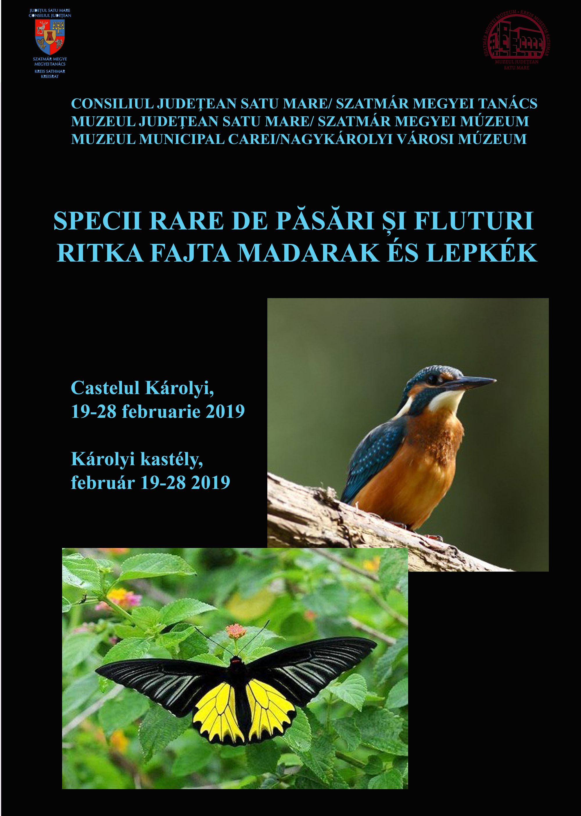 _afis_pasari-press
