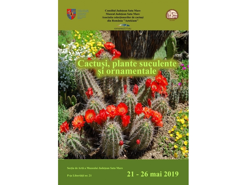cactusi expo