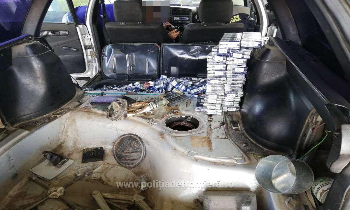 tigari