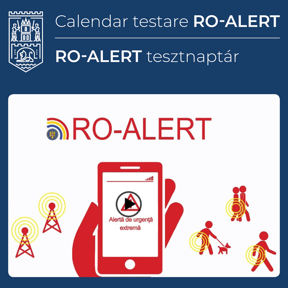 alert