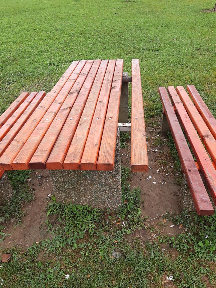 zona picnic