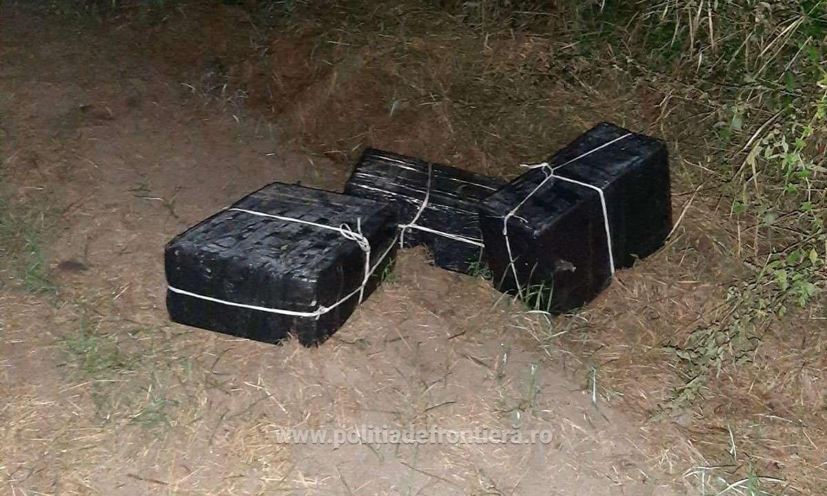 tigari
