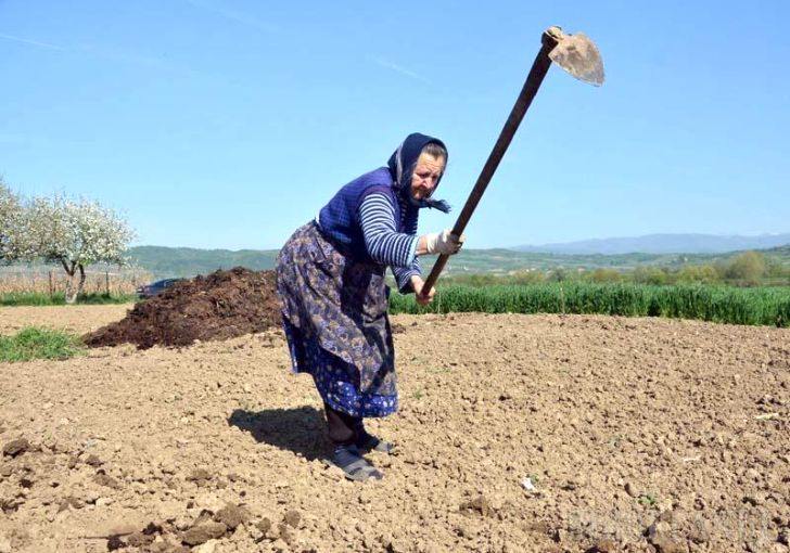 15 octombrie – Ziua internaţională a femeilor din mediul rural