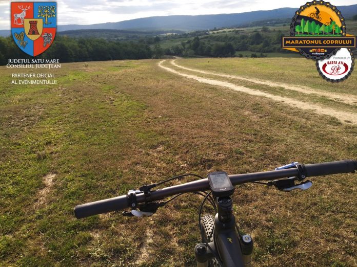 mtb