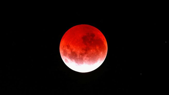 luna sangerie