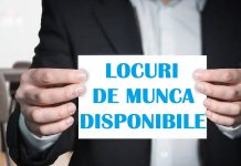 Peste 140 de locuri de muncă vacante în Satu Mare, de la muncitori necalificați la specialiști