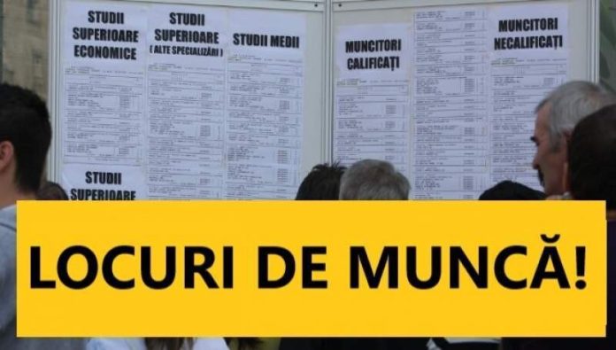 locuri-de-munca-796