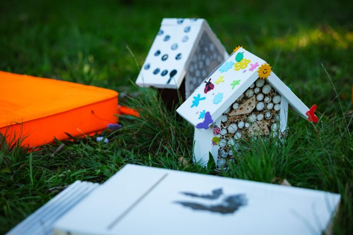 Bee Home (5)