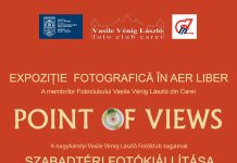 Expozitie în aer liber la Satu Mare