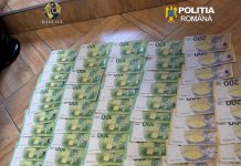Percheziții și arestări la Satu Mare: legături cu un jaf de 100.000 de euro din Austria