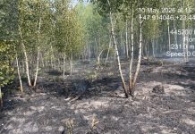 Intervențiile ISU „Someș” al județului Satu Mare în perioada 29 mai – 1 iunie