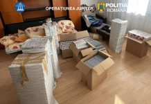 „Operațiunea JUPITER” în Satu Mare: 23 de percheziții, țigări de contrabandă, detergent contrafăcut și zeci de mii de euro ridicați