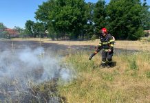 Pompierii militari au intervenit pentru stingerea unui incendiu de vegetație uscată izbucnit în Moftinu Mic