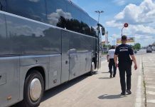 IGI și Poliția de Frontieră, acțiune amplă în Satu Mare: transportatorii, informați despre obligațiile legale privind transportul străinilor în România
