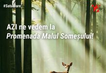 Caravana TIFF Unlimited transformă Promenada Someșului într-un cinematograf în aer liber cu intrare liberă la Satu Mare