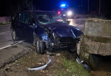 A evitat un animal și s-a izbit cu mașina de un cap de pod, la Tășnad. Patru persoane au ajuns la spital