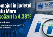 Șomajul în județul Satu Mare a scăzut la 4,38% în luna iunie. Peste 5.600 de persoane sunt încă fără loc de muncă