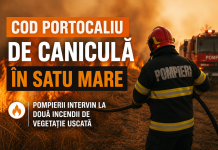 Cod portocaliu de caniculă în Satu Mare: Pompierii intervin la două incendii de vegetație uscată