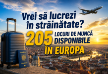 Vrei să lucrezi în străinătate? 205 locuri de muncă disponibile în Europa