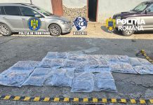 Captură spectaculoasă la Petea: 38 de kilograme de canabis, confiscate de polițiști