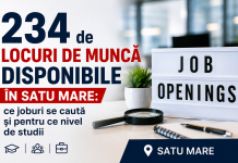 234 de locuri de muncă disponibile în Satu Mare: ce joburi se caută și pentru ce nivel de studii