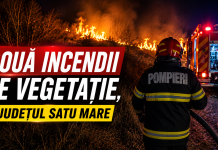 Două incendii de vegetație, în toiul nopții și la primele ore ale dimineții: pompierii sătmăreni, mobilizați în forță