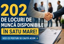 202 de locuri de muncă disponibile în Satu Mare! Vezi ce posturi se caută acum